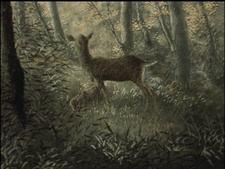 Chuumon no Ooi Ryouriten (1993)